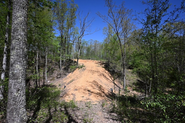417 N Park St, Hohenwald, TN 38462