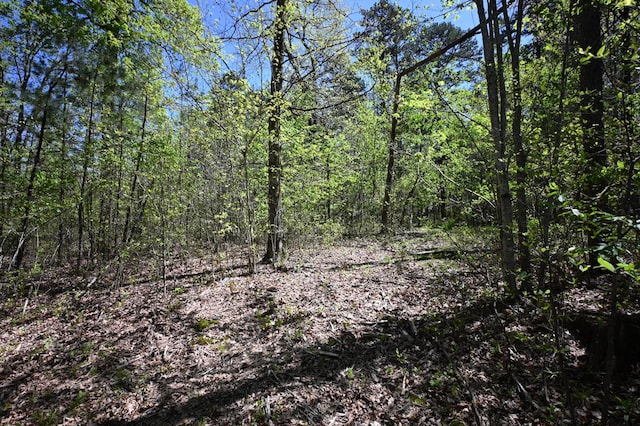 417 N Park St, Hohenwald, TN 38462