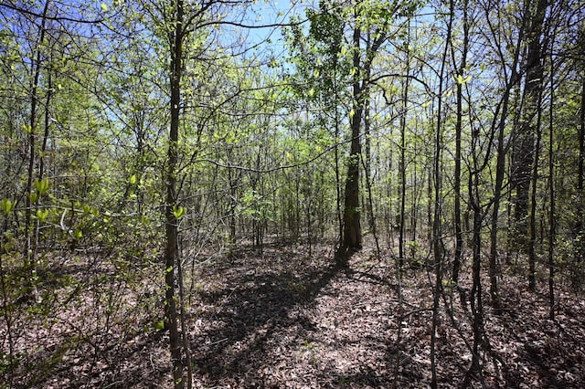 417 N Park St, Hohenwald, TN 38462
