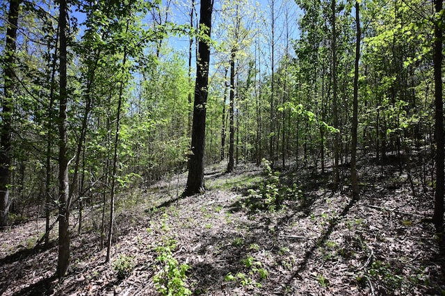 417 N Park St, Hohenwald, TN 38462