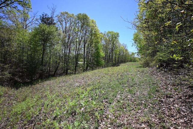 417 N Park St, Hohenwald, TN 38462