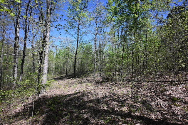 417 N Park St, Hohenwald, TN 38462