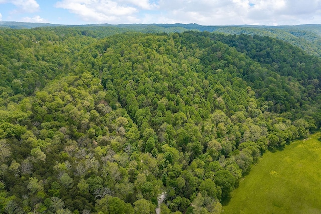 0 Red Bud Ln Tn, Hilham, TN 38568