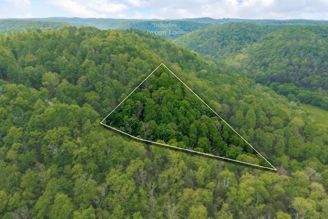0 Red Bud Ln Tn, Hilham, TN 38568