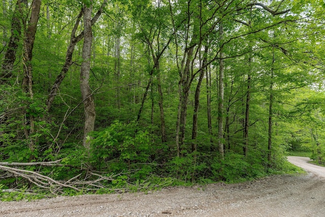 0 Red Bud Ln Tn, Hilham, TN 38568