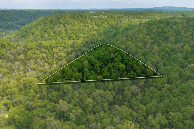 0 Red Bud Ln Tn, Hilham, TN 38568