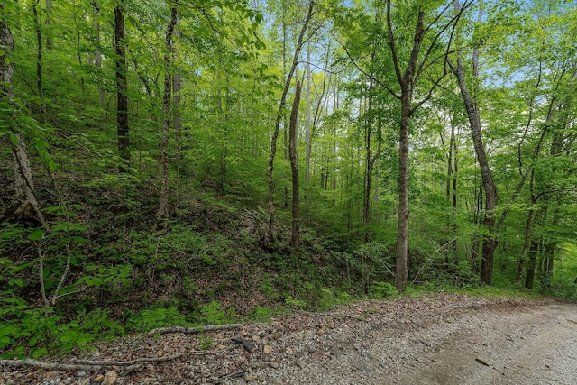 0 Red Bud Ln Tn, Hilham, TN 38568