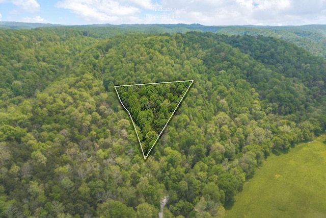 0 Red Bud Ln Tn, Hilham, TN 38568