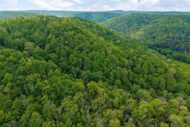 0 Red Bud Ln Tn, Hilham, TN 38568
