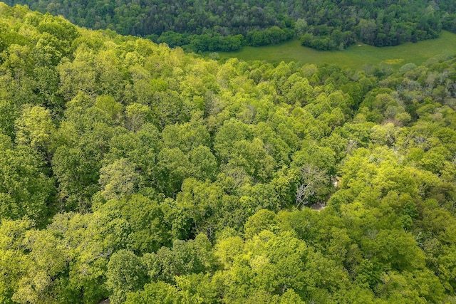 0 Red Bud Ln Tn, Hilham, TN 38568