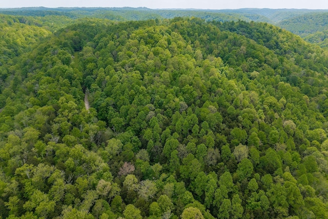 0 Red Bud Ln Tn, Hilham, TN 38568