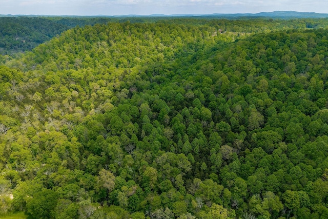 0 Red Bud Ln Tn, Hilham, TN 38568