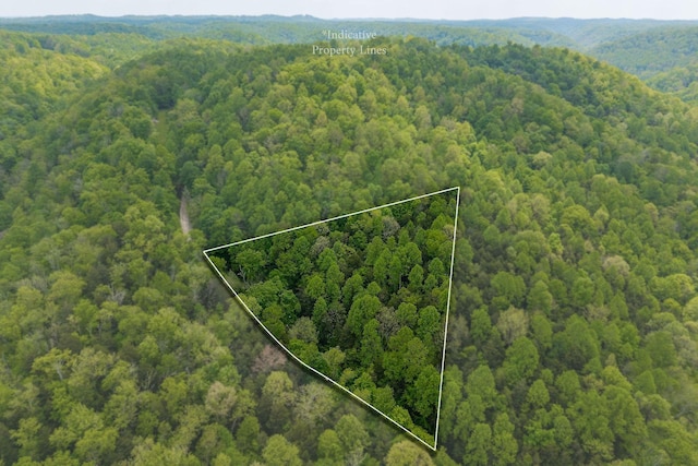 0 Red Bud Ln Tn, Hilham, TN 38568