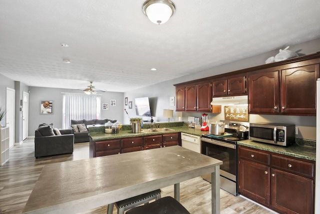 119 Sleepy Hollow Dr, Springfield, TN 37172 - kitchen featuring appliances with stainless steel finishes, under cabinet range hood, a sink, light wood-style floors, and a peninsula