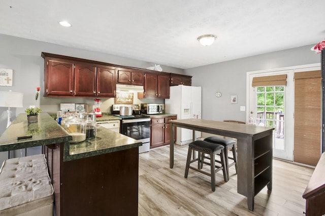 119 Sleepy Hollow Dr, Springfield, TN 37172 - kitchen with range with electric stovetop, white fridge with ice dispenser, under cabinet range hood, stainless steel microwave, and light wood-type flooring