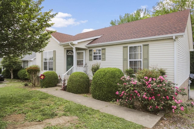 119 Sleepy Hollow Dr, Springfield, TN 37172 - view of front of property with a shingled roof and a front yard