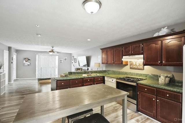119 Sleepy Hollow Dr, Springfield, TN 37172 - kitchen with electric range, under cabinet range hood, light wood-style flooring, dishwasher, and a peninsula