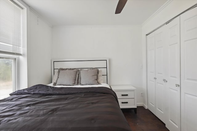 bedroom featuring ornamental molding, a closet, ceiling fan, and dark wood-style floors