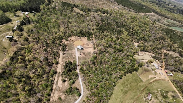 drone / aerial view