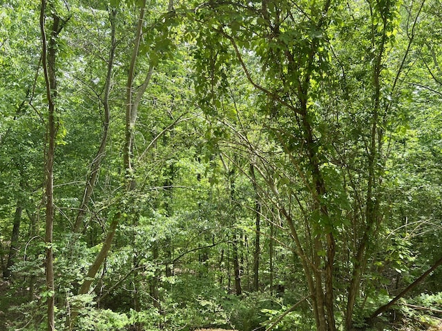 view of nature featuring a forest view