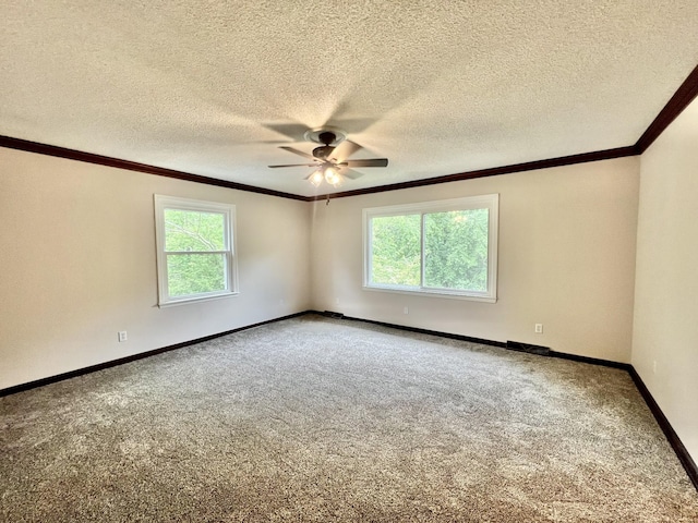 spare room with crown molding, a wealth of natural light, and carpet