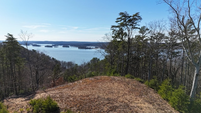 0 Float Dr, Waverly, TN 37185