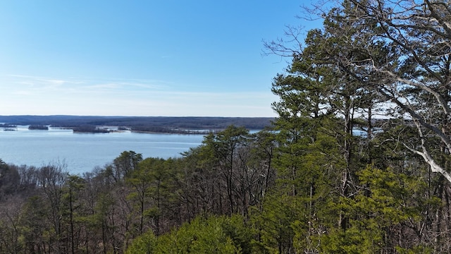 0 Float Dr, Waverly, TN 37185