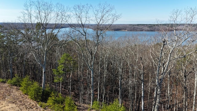 0 Float Dr, Waverly, TN 37185