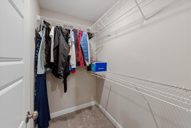 walk in closet featuring carpet