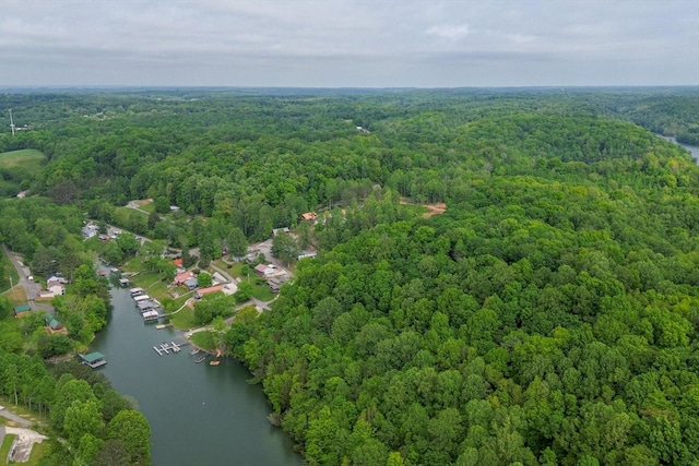 48 Hasty Hill Rd, Lynchburg, TN 37352 - bird's eye view featuring a water view and a forest view