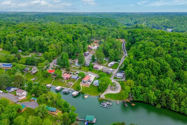 48 Hasty Hill Rd, Lynchburg, TN 37352 - aerial view with a water view and a forest view
