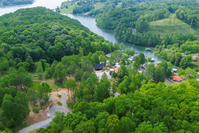 48 Hasty Hill Rd, Lynchburg, TN 37352 - aerial view with a wooded view and a water view