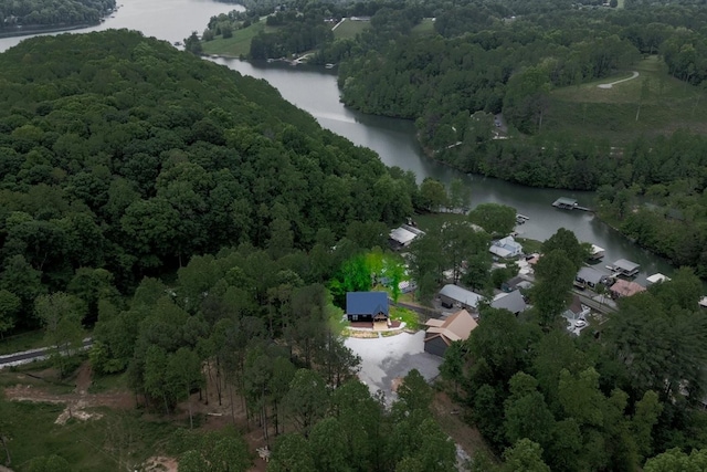 48 Hasty Hill Rd, Lynchburg, TN 37352 - drone / aerial view with a wooded view and a water view