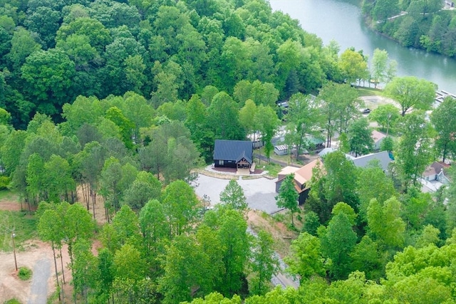 48 Hasty Hill Rd, Lynchburg, TN 37352 - bird's eye view with a wooded view and a water view