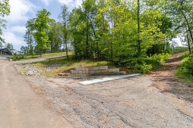 48 Hasty Hill Rd, Lynchburg, TN 37352 - view of street