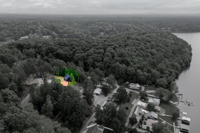 48 Hasty Hill Rd, Lynchburg, TN 37352 - aerial view with a water view and a forest view