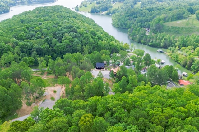 48 Hasty Hill Rd, Lynchburg, TN 37352 - bird's eye view featuring a water view and a forest view