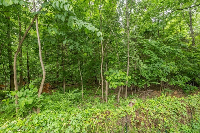 429 Old Oak Way, Hermitage, TN 37076 - view of tree filled area