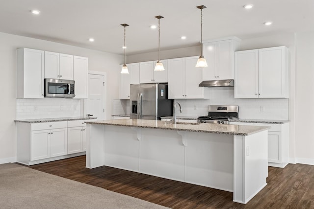 kitchen featuring stainless steel appliances, under cabinet range hood, an island with sink, backsplash, and white cabinetry