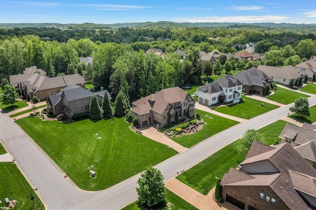 4029 Kings Camp Pass, Arrington, TN 37014 - aerial perspective of suburban area