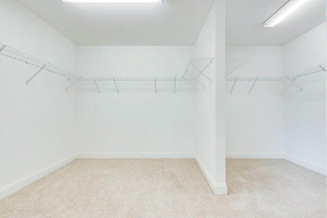 walk in closet with carpet