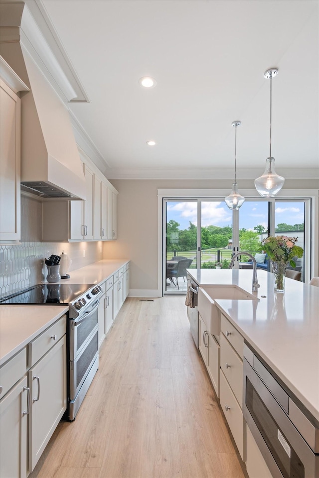 kitchen featuring a healthy amount of sunlight, light wood-style flooring, a sink, and double oven range