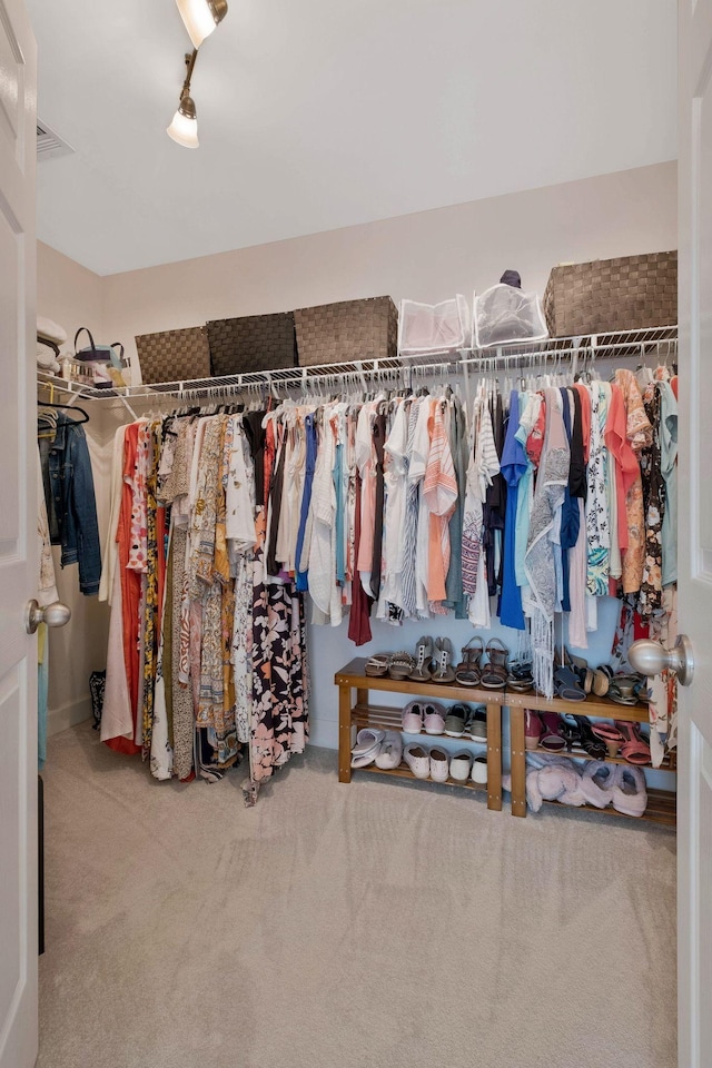 2105 Chels Way, Old Hickory, TN 37138 - spacious closet with carpet flooring