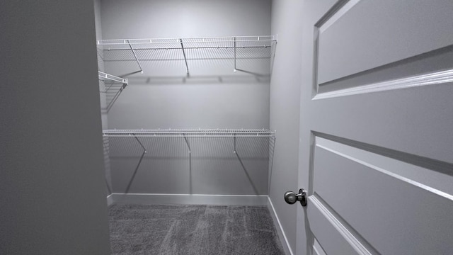 spacious closet featuring carpet flooring