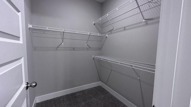 walk in closet with dark colored carpet