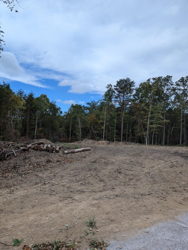 0 Southwinds Dr, Crossville, TN 38572 - photo 3