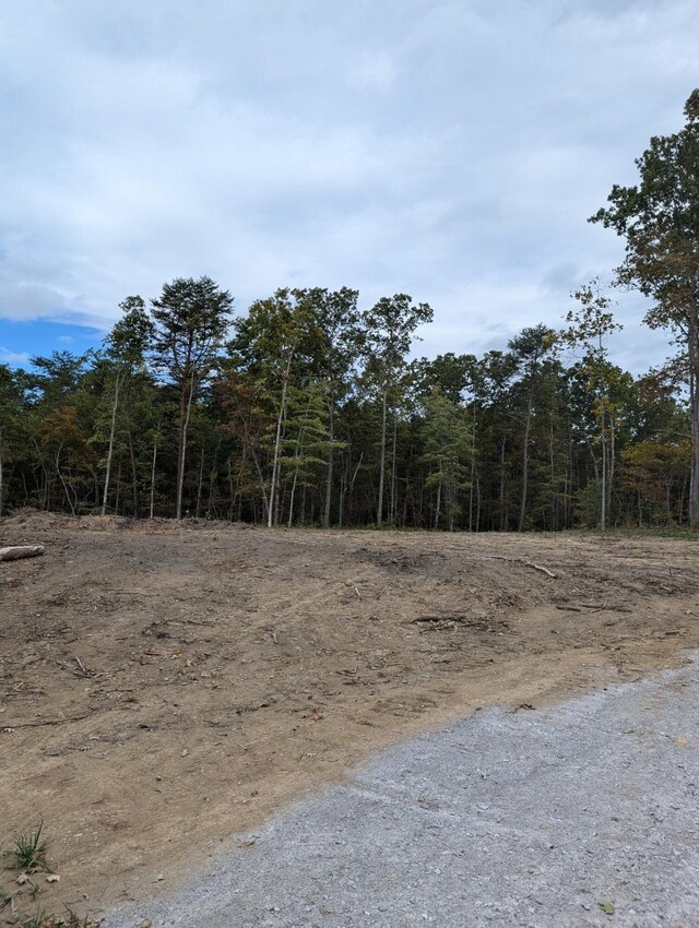 0 Southwinds Dr, Crossville, TN 38572 - photo 4