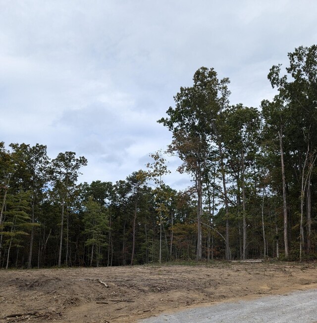 0 Southwinds Dr, Crossville, TN 38572 - photo 5