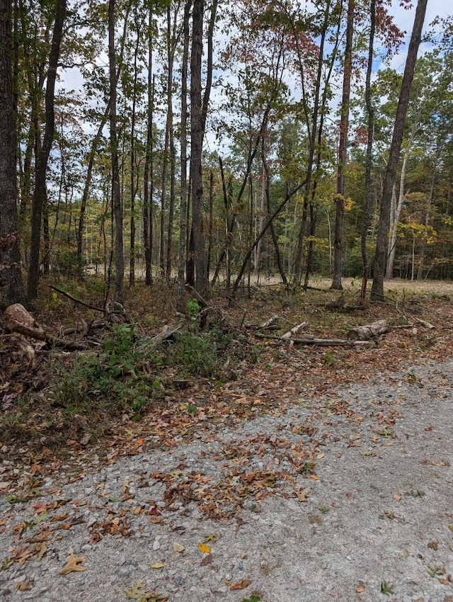 0 Southwinds Dr, Crossville, TN 38572 - photo 2