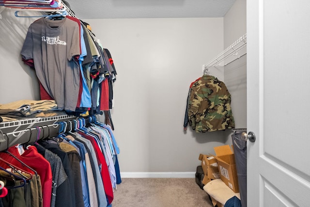 3144 Holly Pt, Clarksville, TN 37043 - walk in closet with carpet